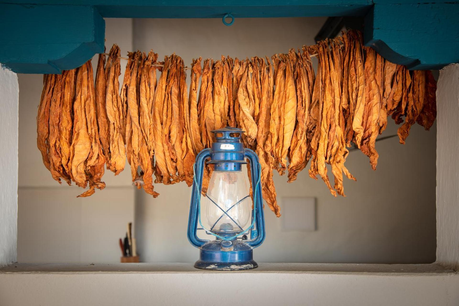 Posada Del Campanario Barichara Dış mekan fotoğraf